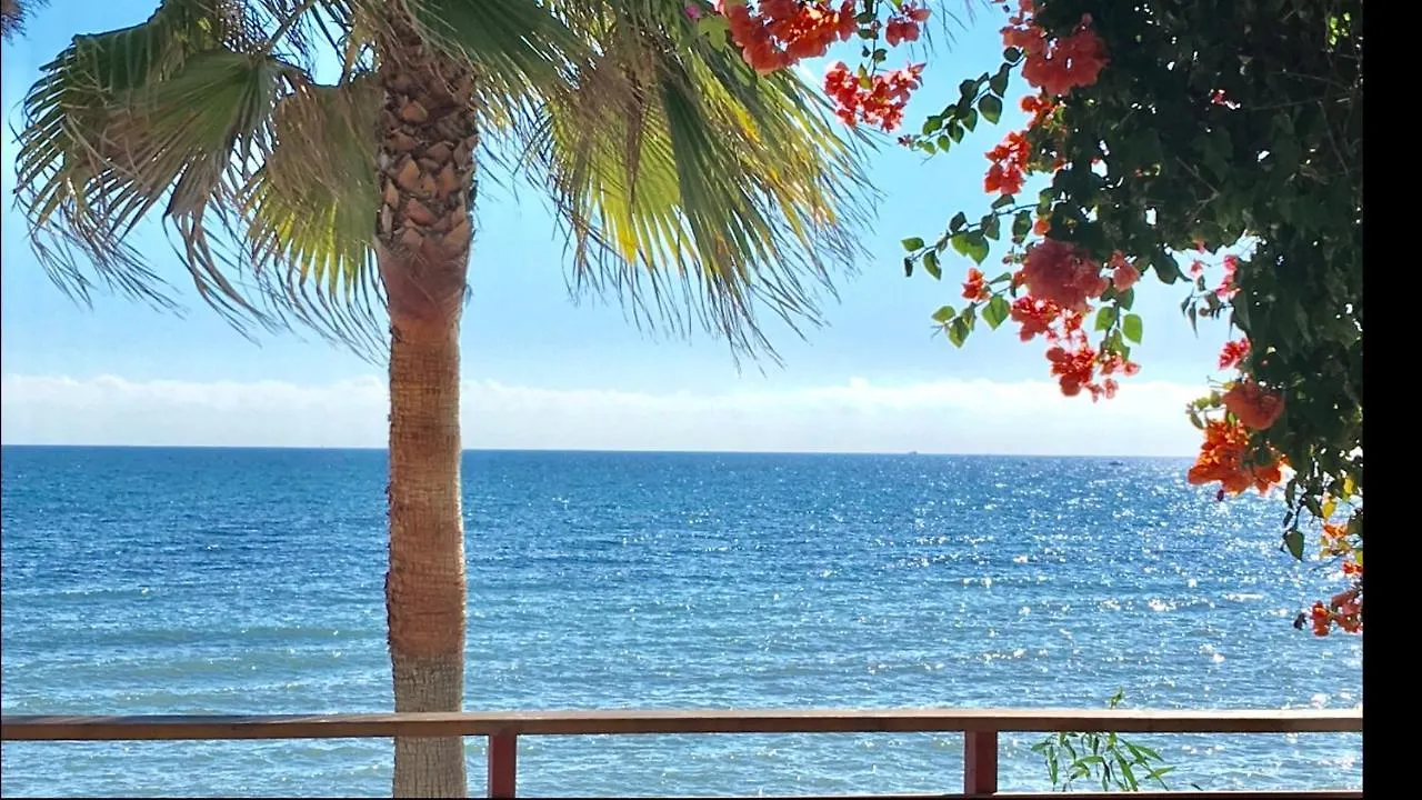 Mi Capricho 3-5 Beachfront- Apartment With Sea Views In Costa Del Sol Sitio de Calahonda Spain